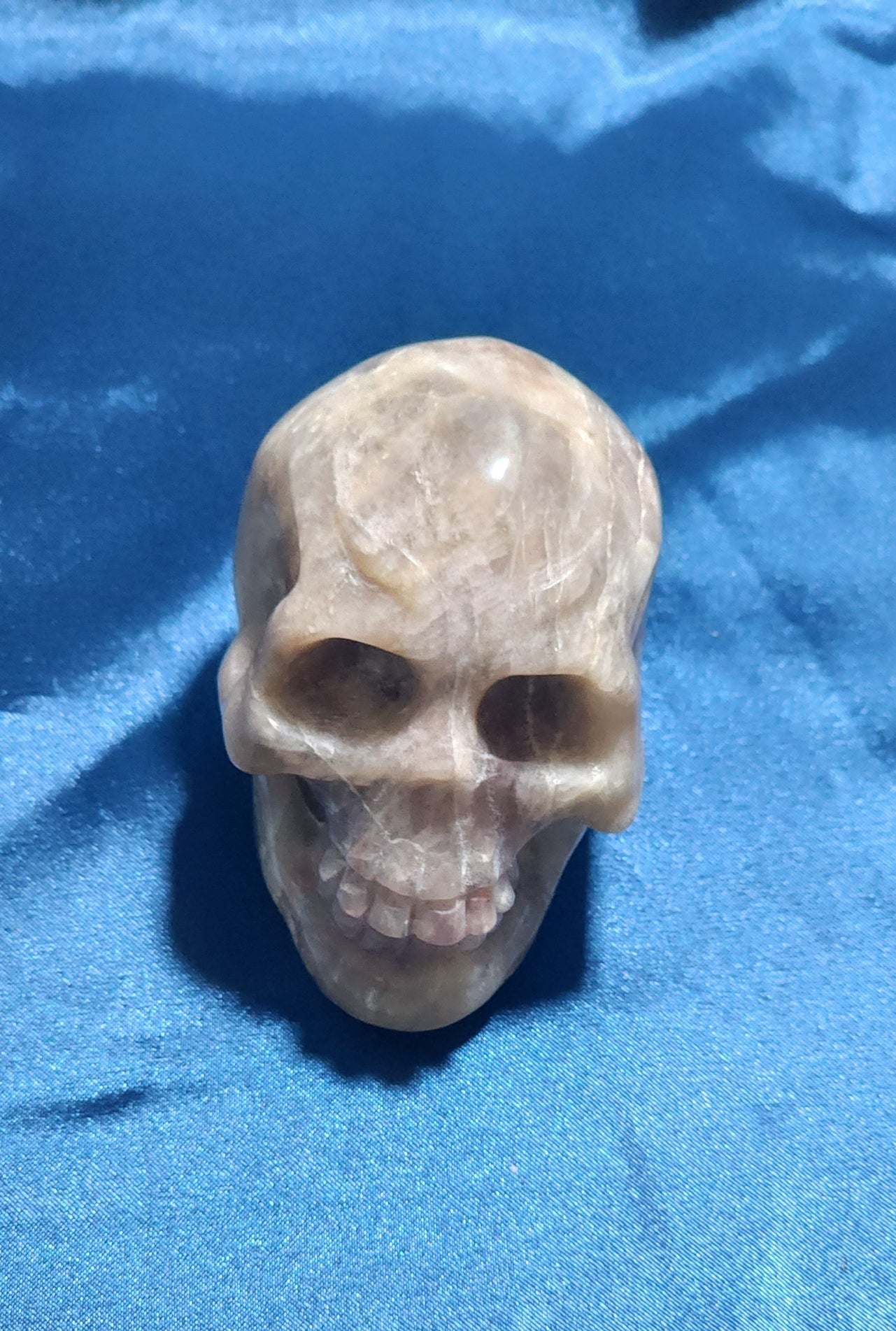 Large Skulls - Assorted