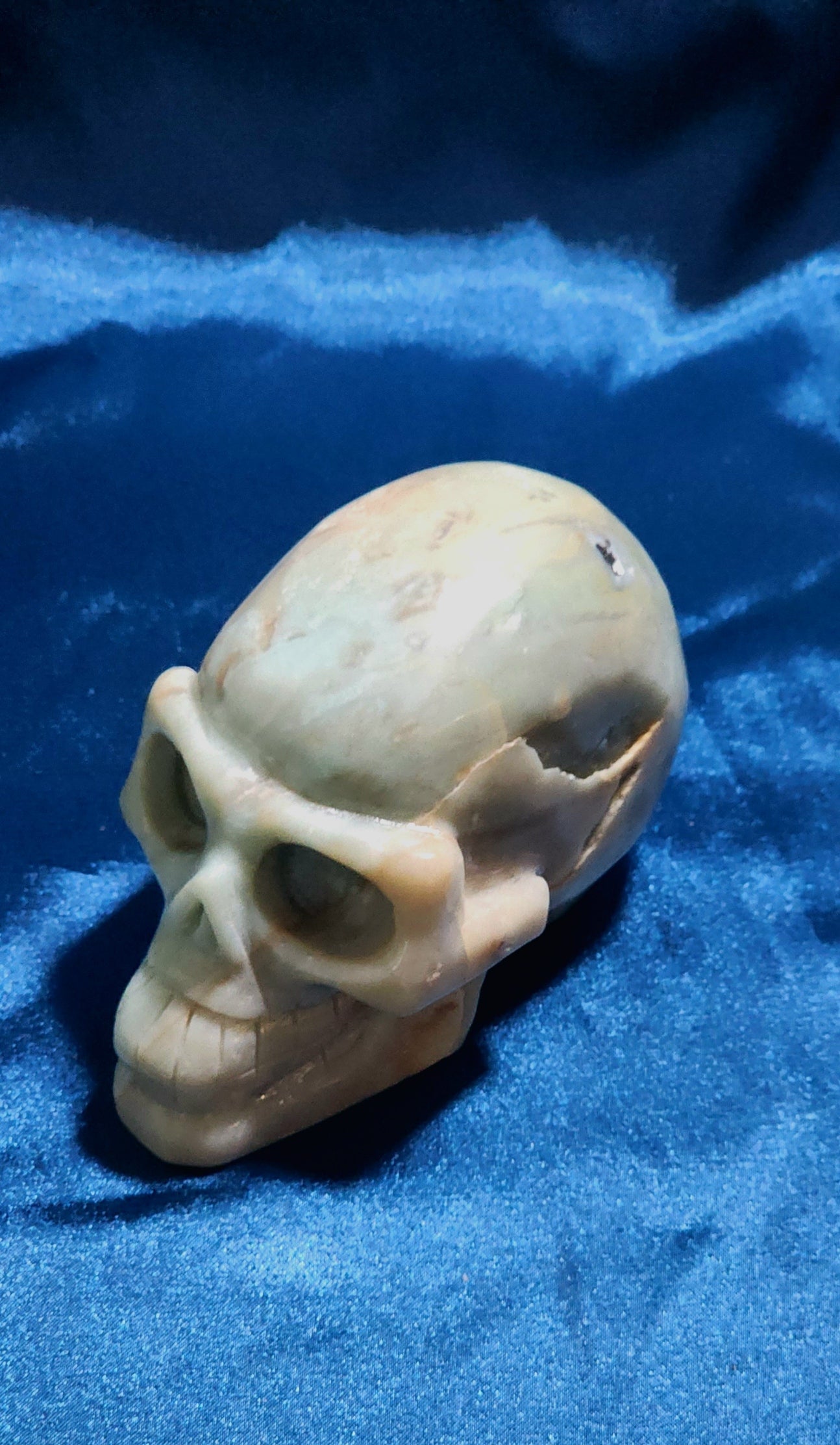 Large Skulls - Assorted