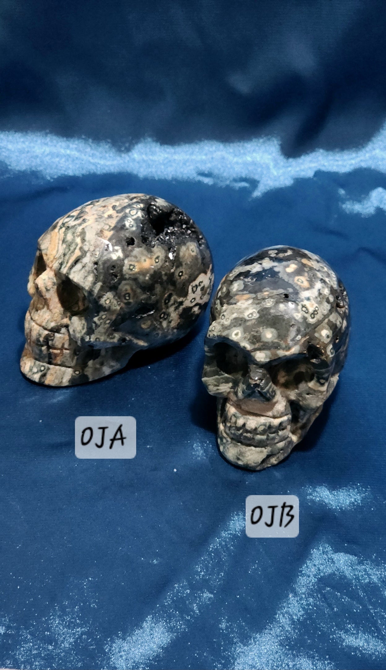 Large Skulls - Assorted