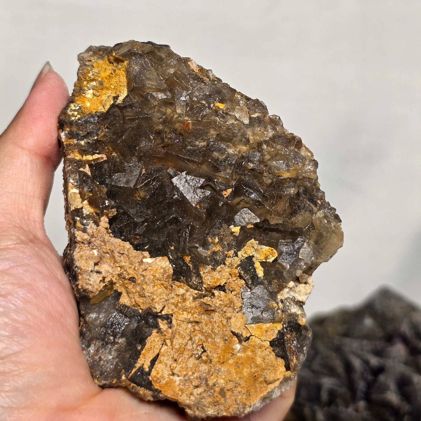 (RARE) Black "Rose" Fluorite