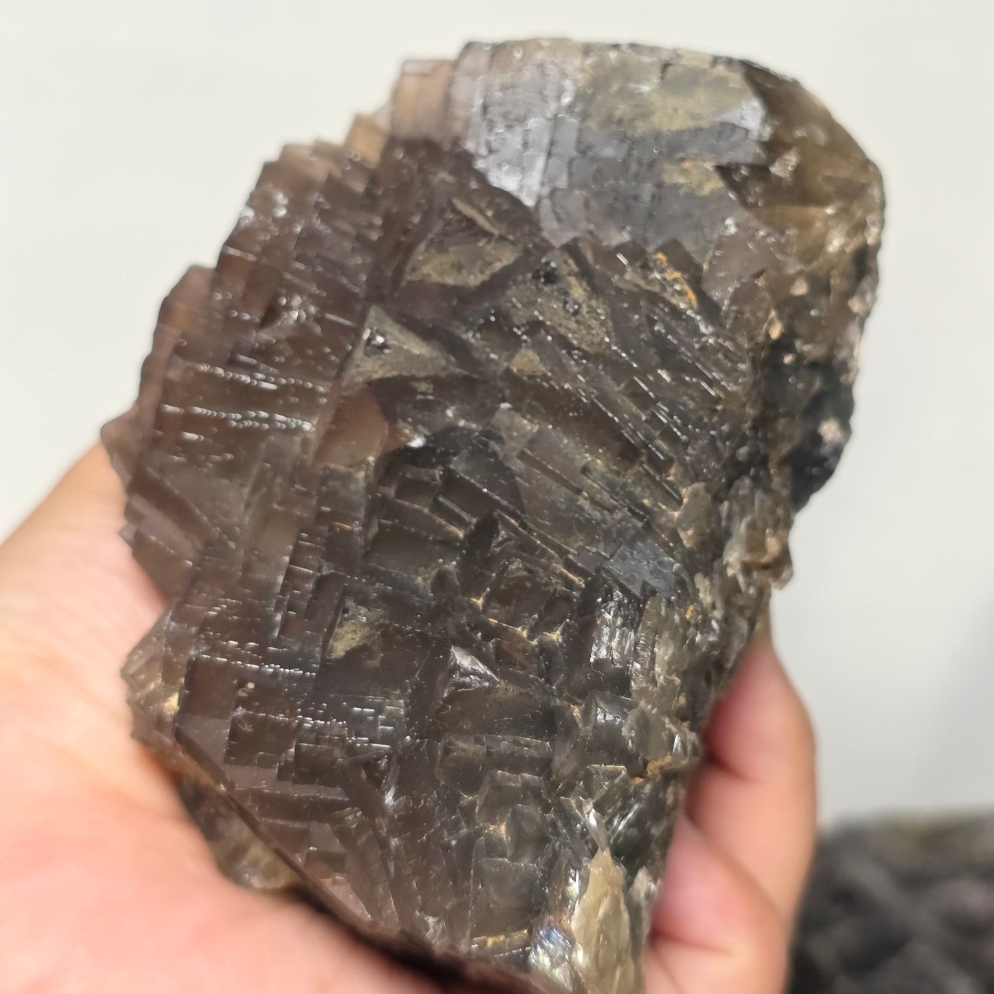 (RARE) Black "Rose" Fluorite