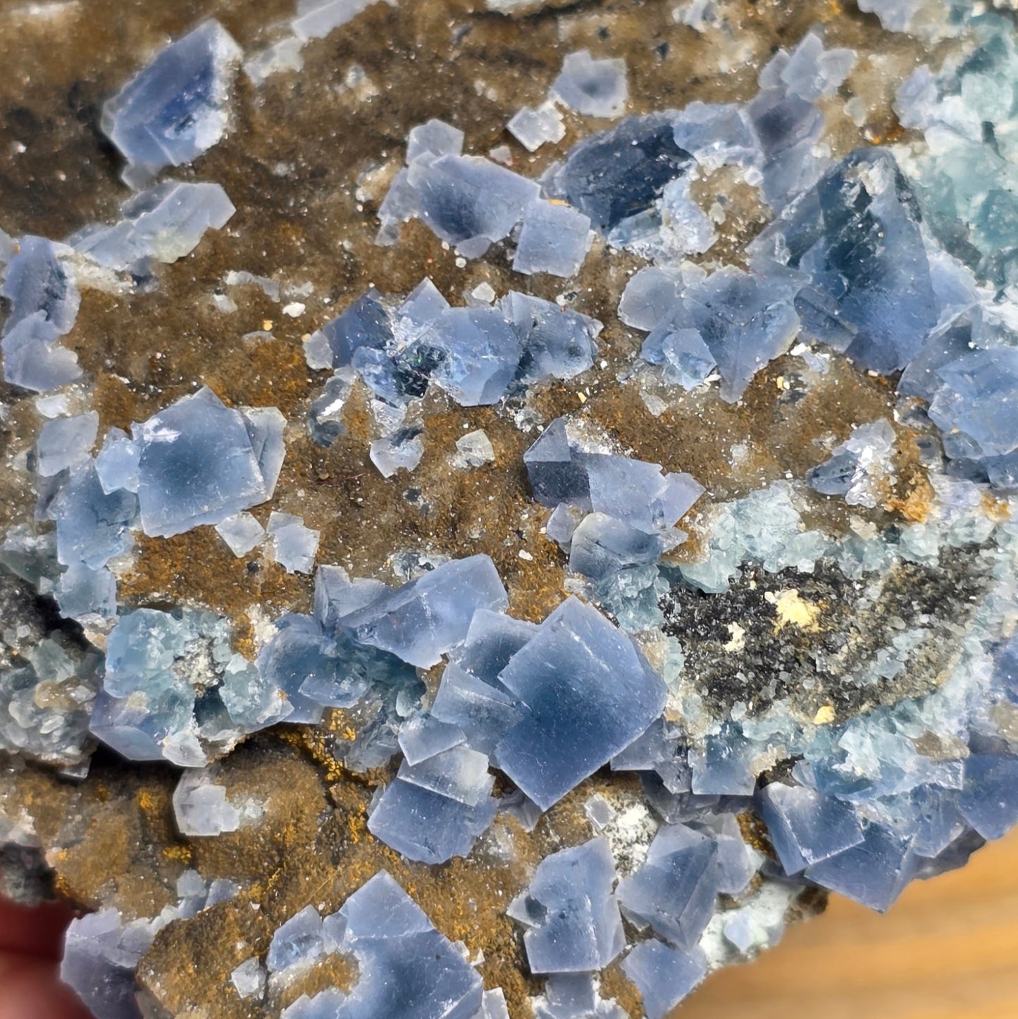 (RARE) Blue Fluorite Raw Specimen