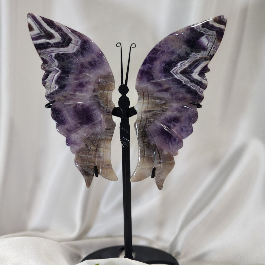Large Butterfly Wings on Stand