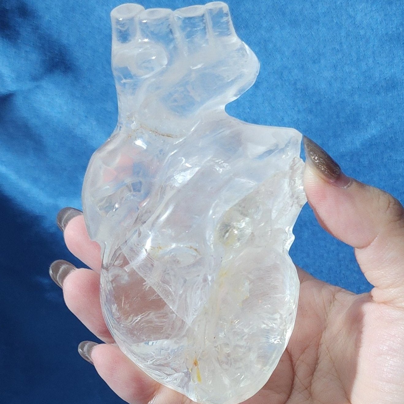 Anatomical Crystal Hearts