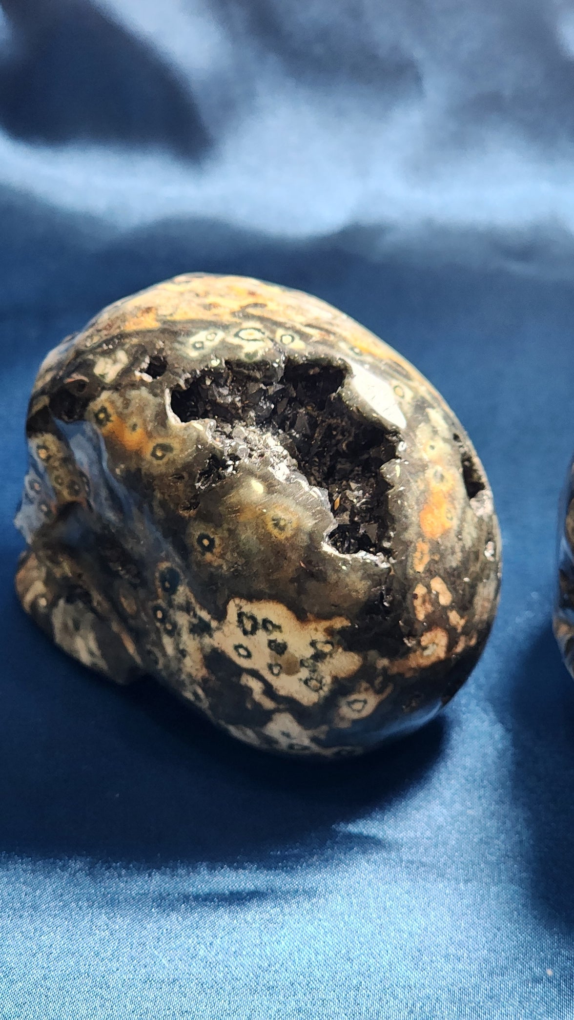 Large Skulls - Assorted