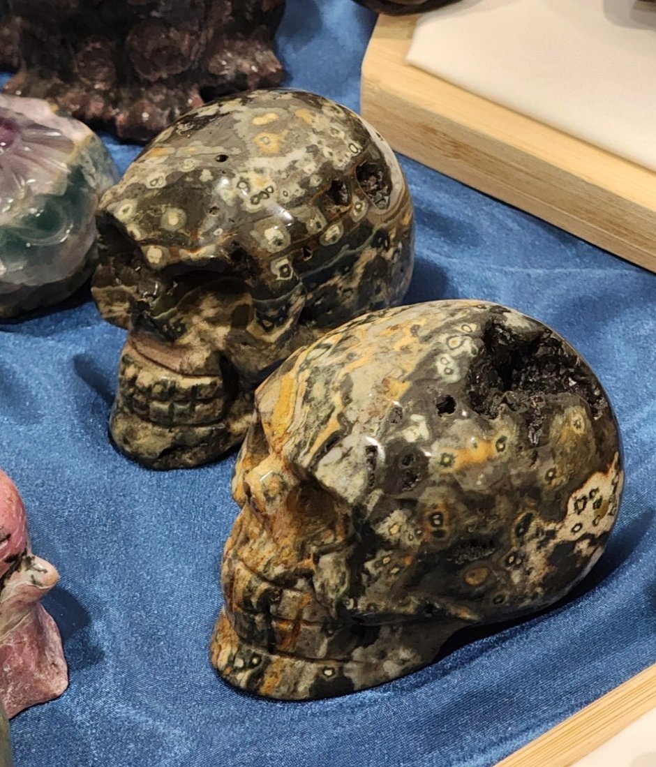 Large Skulls - Assorted