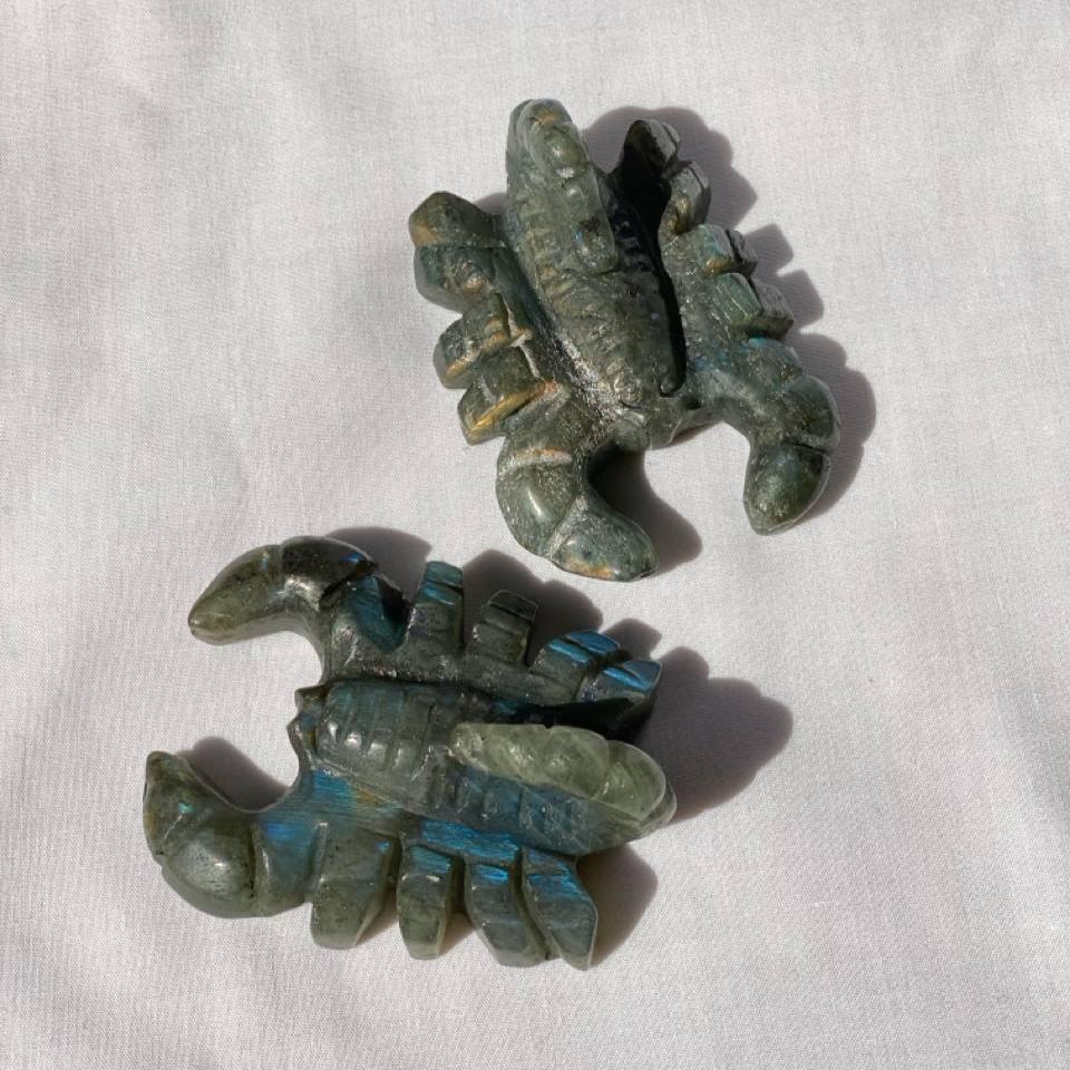 Scorpion Carvings