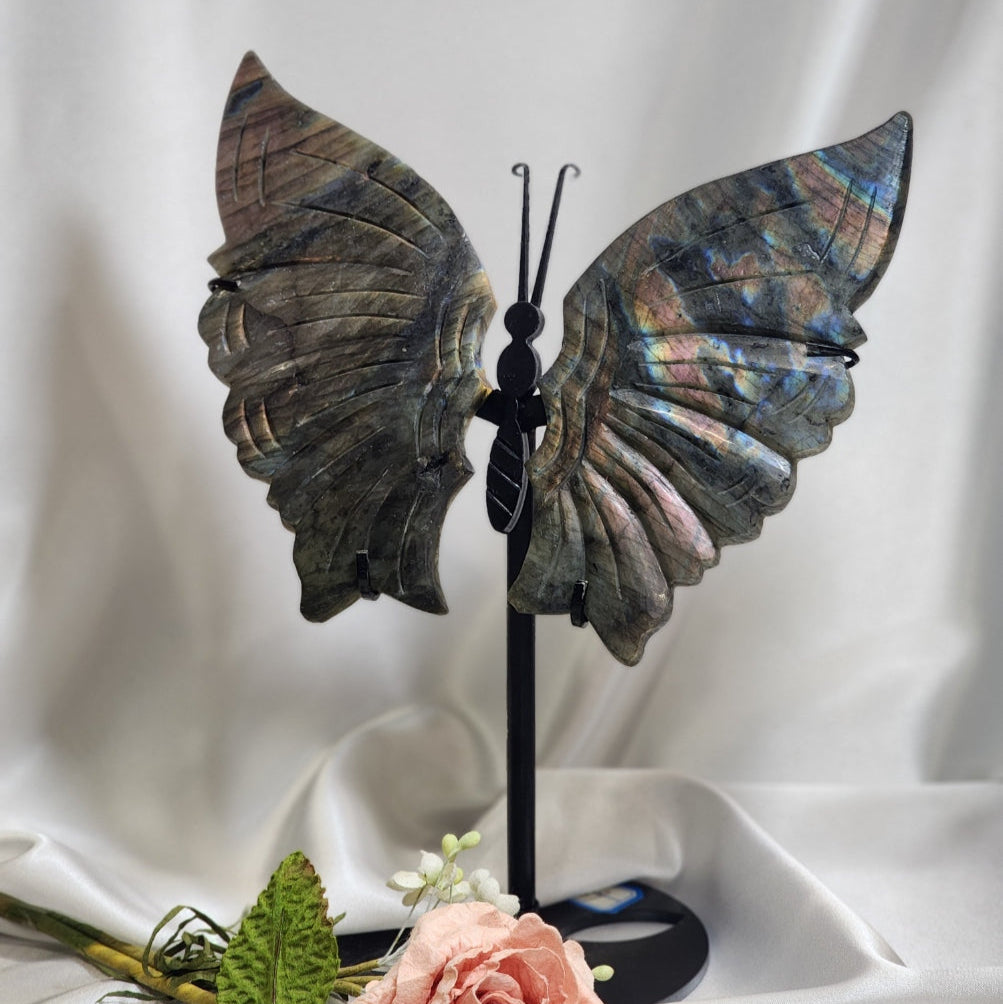Large Butterfly Wings on Stand