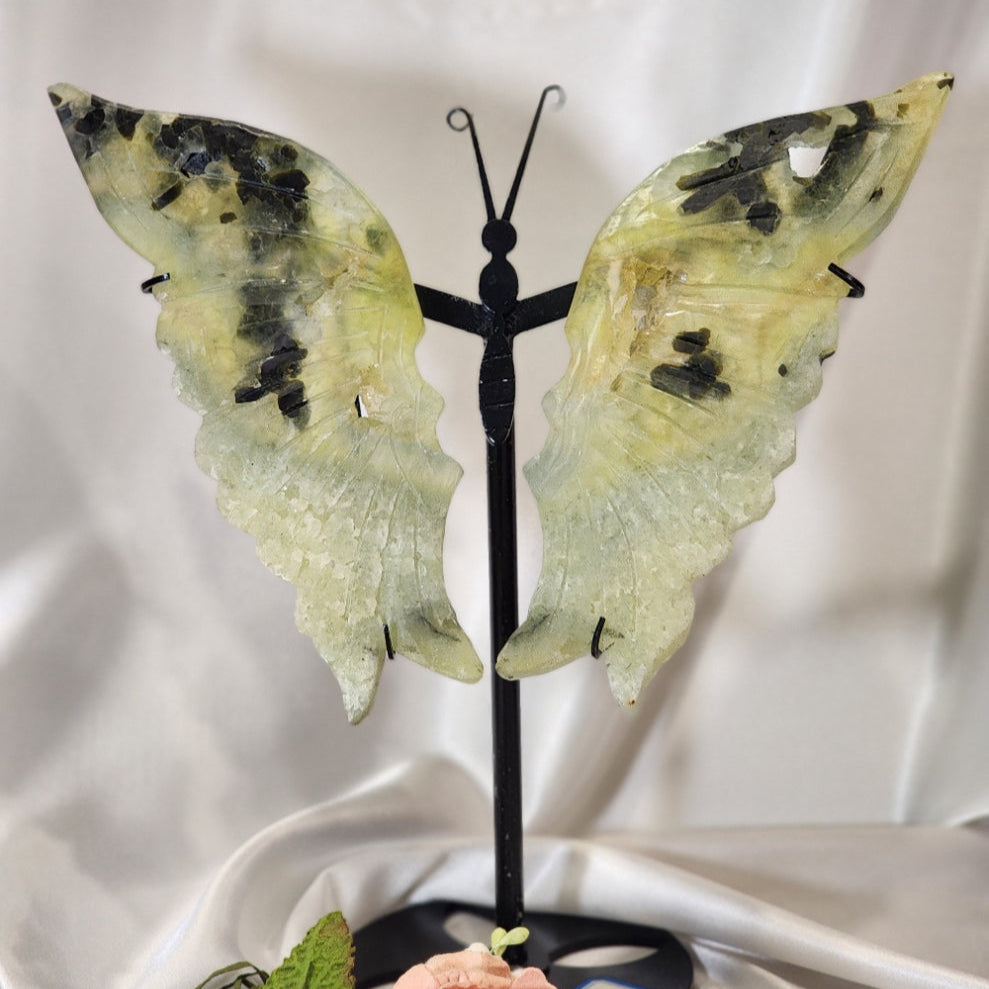Large Butterfly Wings on Stand