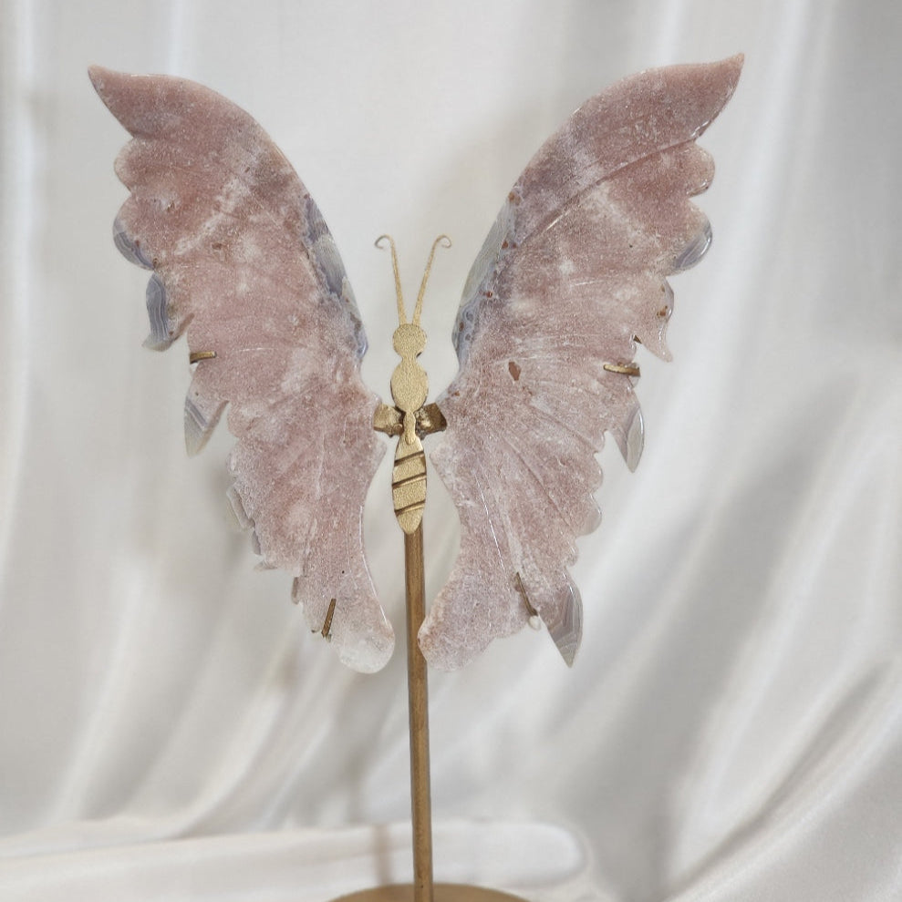 Large Butterfly Wings on Stand