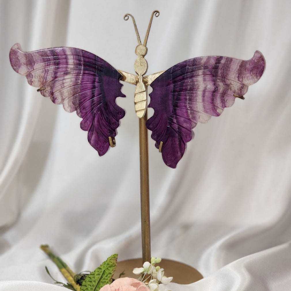 Large Butterfly Wings on Stand