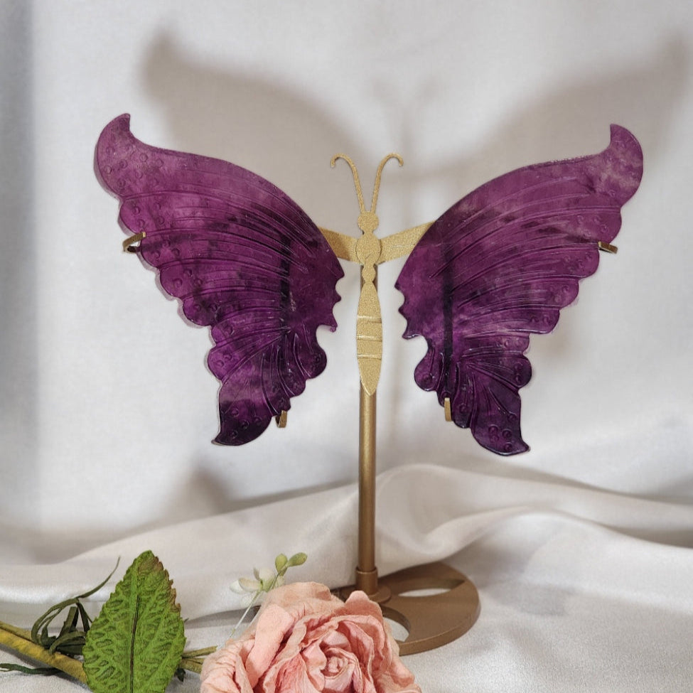 Large Butterfly Wings on Stand