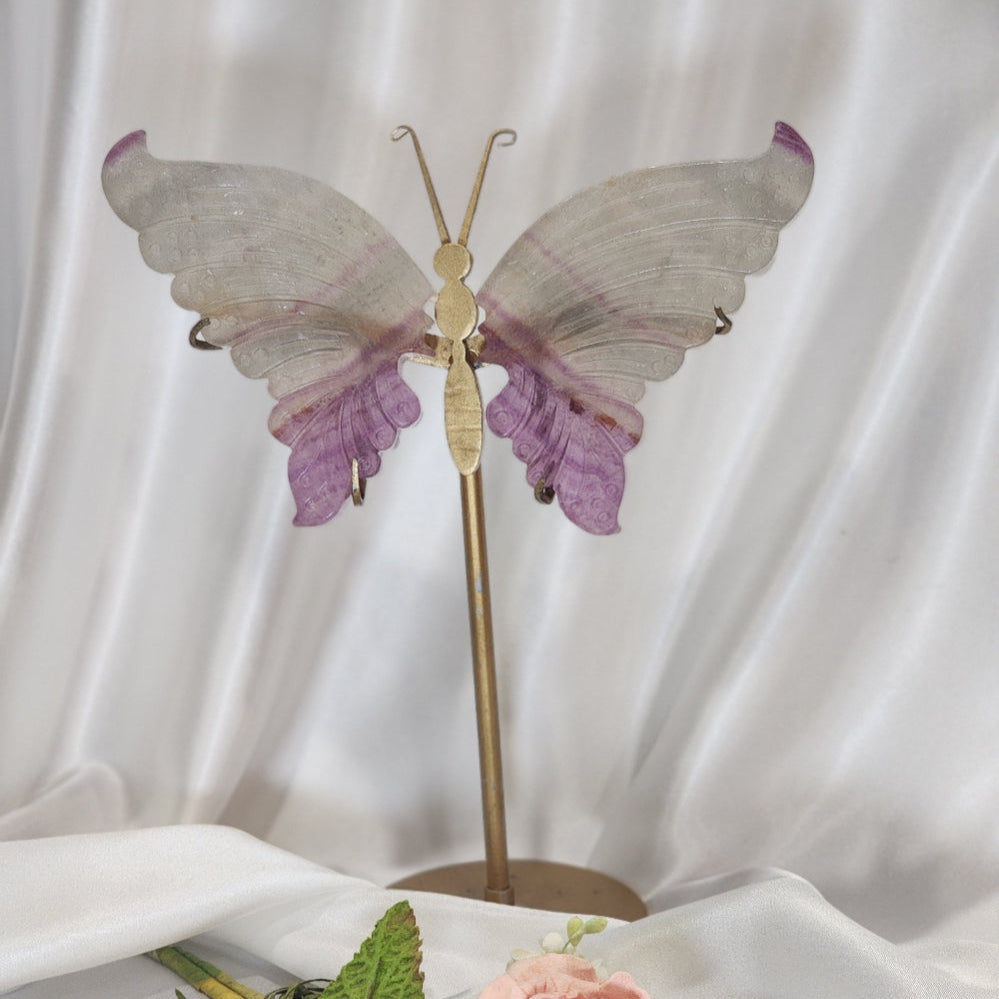 Large Butterfly Wings on Stand