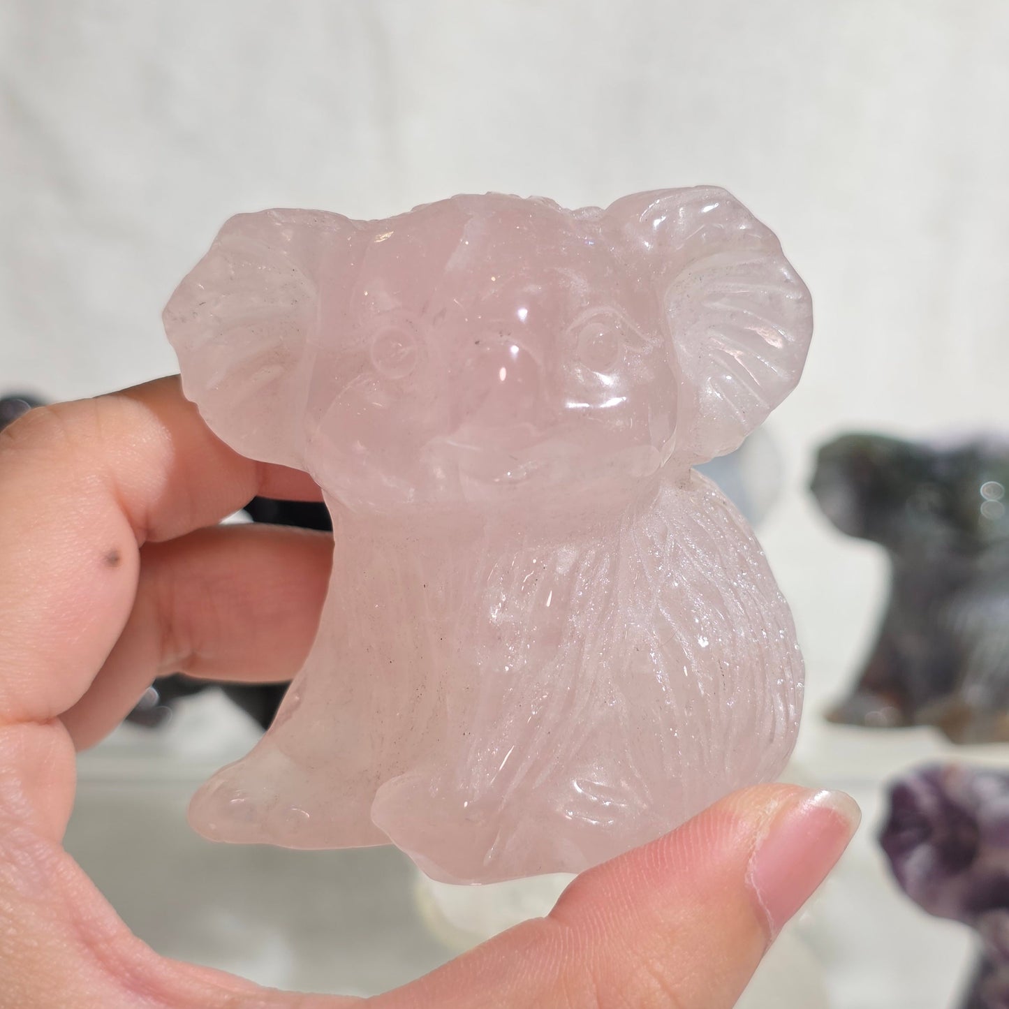 Assorted Koala Carvings