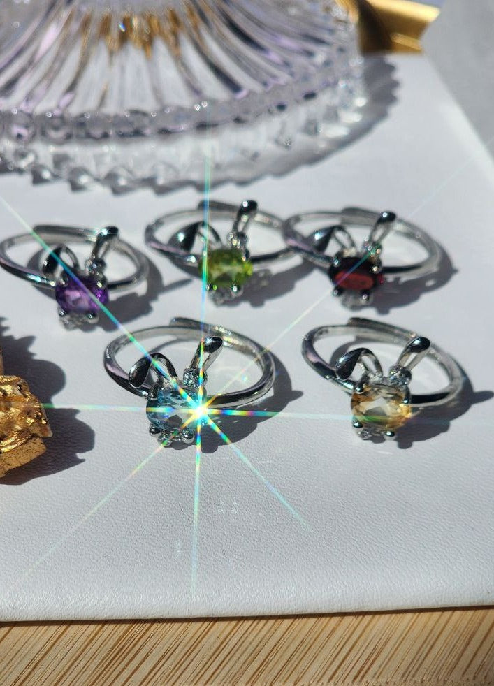 Assorted Rabbit Rings