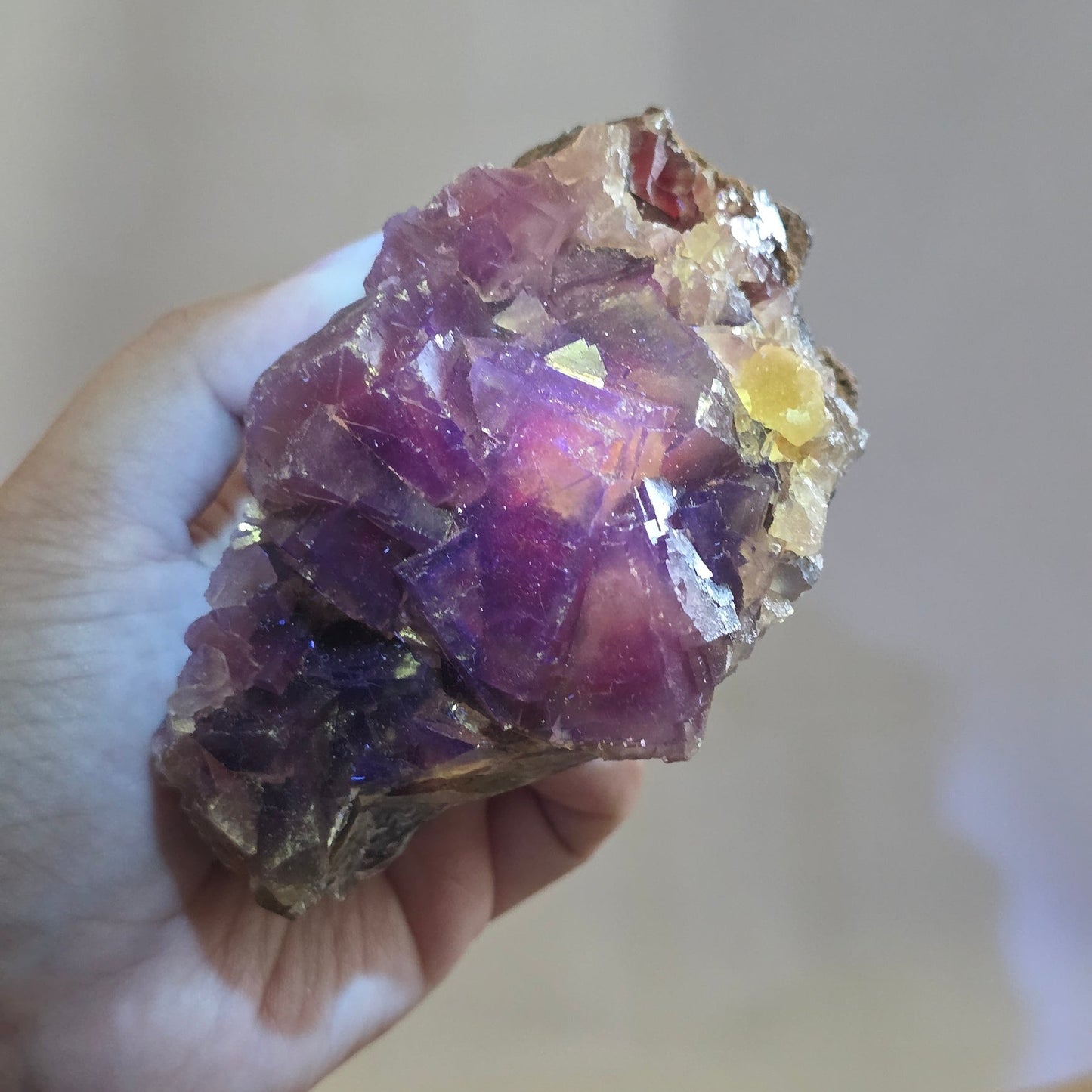 (RARE) Black "Rose" Fluorite