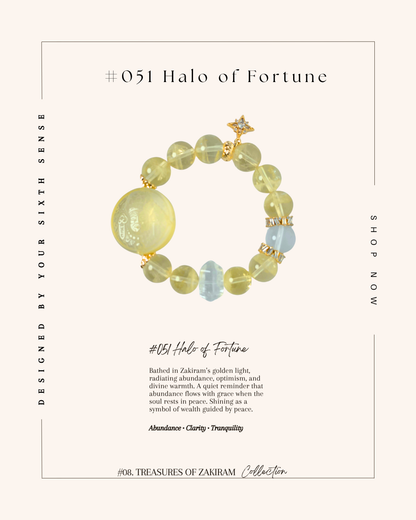 C#08. Treasures of Zakiram Collection