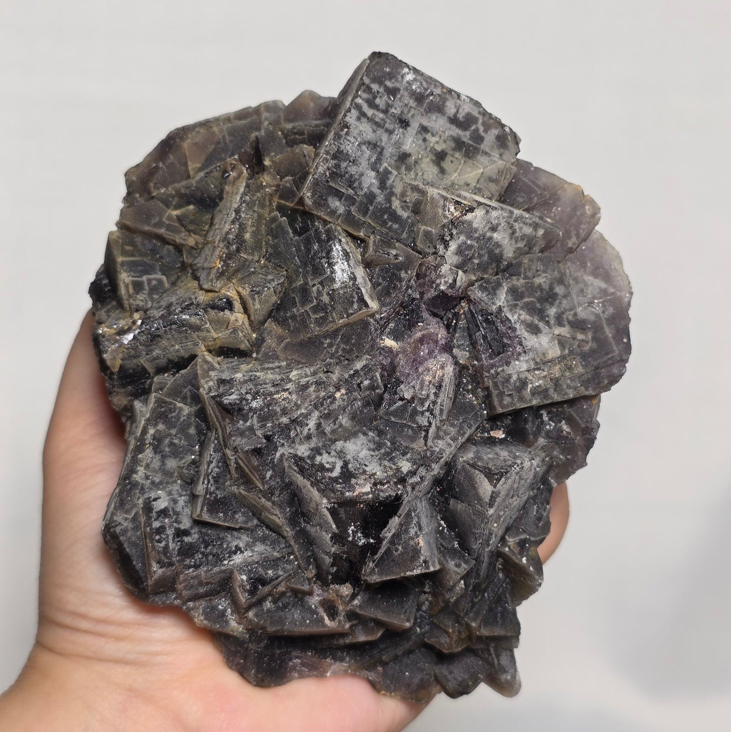 (RARE) Black "Rose" Fluorite