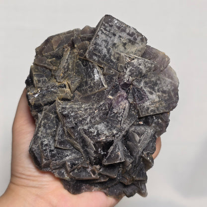 (RARE) Black "Rose" Fluorite