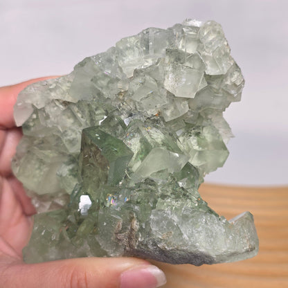 (RARE) Jelly Green Fluorite Raw Speciemen